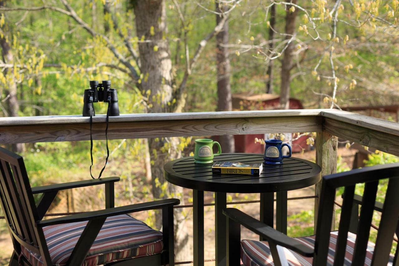Tiffany'S Bed And Breakfast Bismarck Экстерьер фото